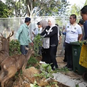 Wagub Fatmawati: PT Vale Membangun Industri Hijau untuk Pertumbuhan Berkelanjutan di Sulsel