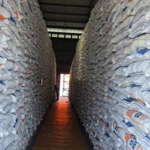 Serapan Gabah Sulsel Lampaui Target Musim Panen Perdana 131%