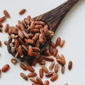 Beras Merah vs Beras Putih: Bahaya Arsenik & Fakta Gizi yang Perlu Kamu Tahu!