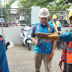 PLN Tingkatkan Keselamatan Kerja dengan Aplikasi Safety on Essential