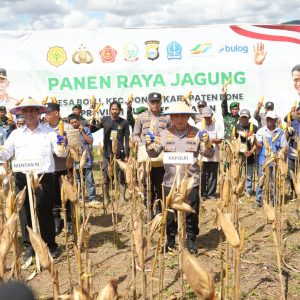 Kapolri dan Mentan Panen Raya Jagung di Bone Dukung Kemandirian Pangan