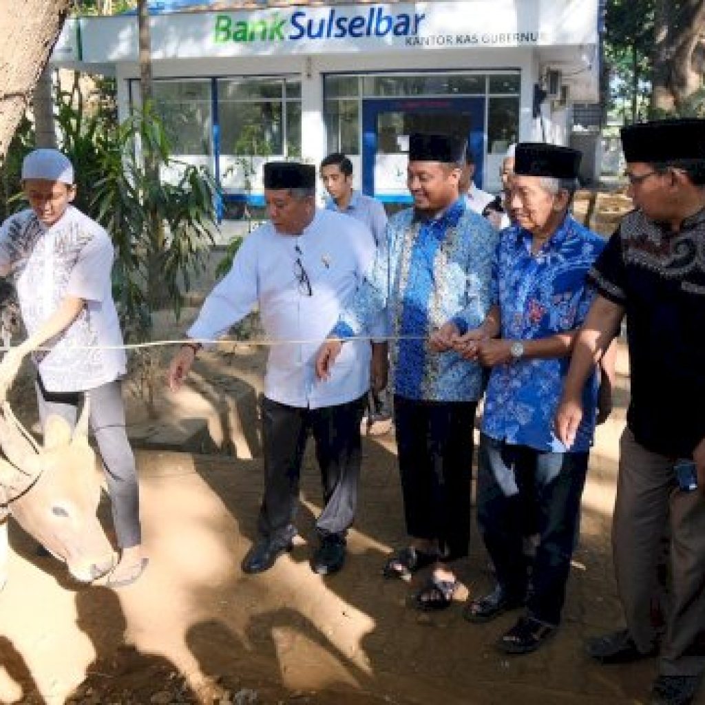 Pemprov Siapkan 26 Ekor Sapi untuk Kurban