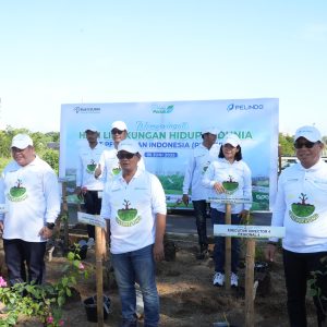 Aksi Nyata Penghijauan dalam Memperingati Hari Lingkungan Hidup Sedunia