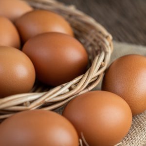 Cara Membedakan Telur Segar dan Busuk, Perhatikan Sebelum Dimasak