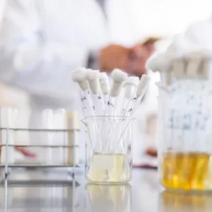 3 Tahapan Pembentukan Urine dalam Tubuh