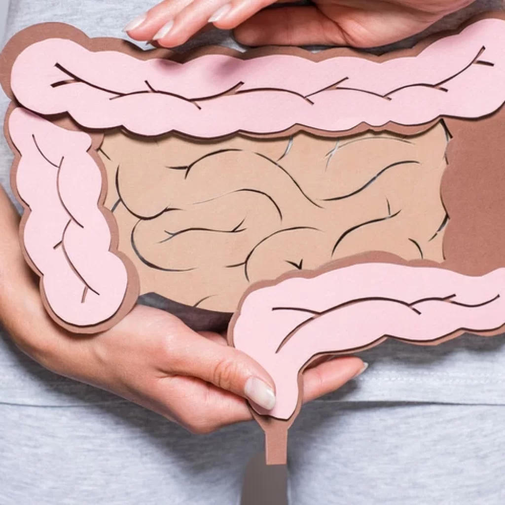 Fungsi Usus Besar: Sekum, Kolon, dan Rektum yang Perlu Kamu Tahu