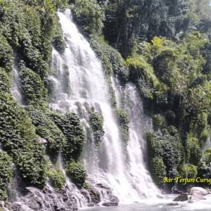 Curup Maung: Surga Tersembunyi di Lahat Setinggi 80 Meter!