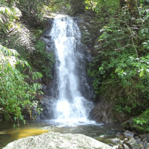Air Terjun Sungai Medang: Petualangan Alam Ekstrem di Kerinci