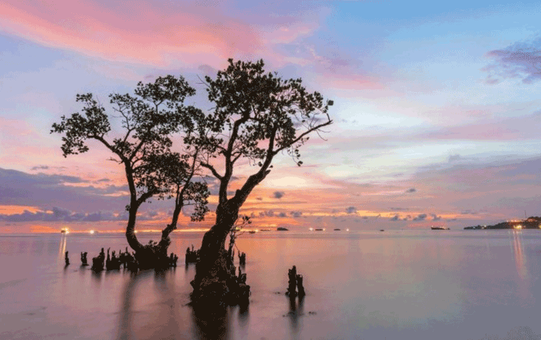 Aktivitas Seru di Pantai Nirwana