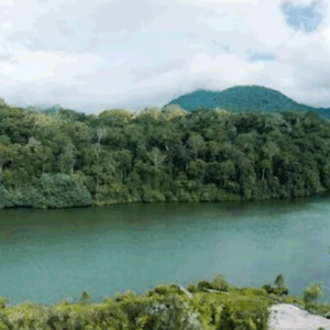 Danau Lingkat: Keindahan Misterius di Kerinci Jambi