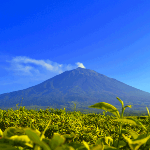 Misteri Gunung Kerinci: Legenda dan Keindahan Alamnya