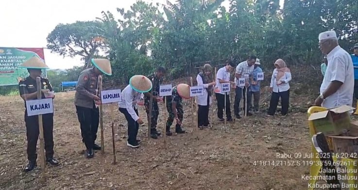 Kadis Pertanian Barru Hadiri Penanaman Jagung Serentak di Perhutanan Sosial