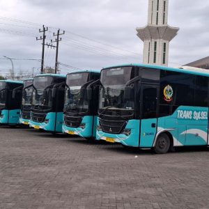 Bus Trans Sulsel Diluncurkan 14 Juli 2025, Hadirkan Layanan Terintegrasi Antarwilayah