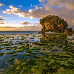 Pantai Jungwok Gunungkidul: Eksplorasi Alam Liar yang Mempesona