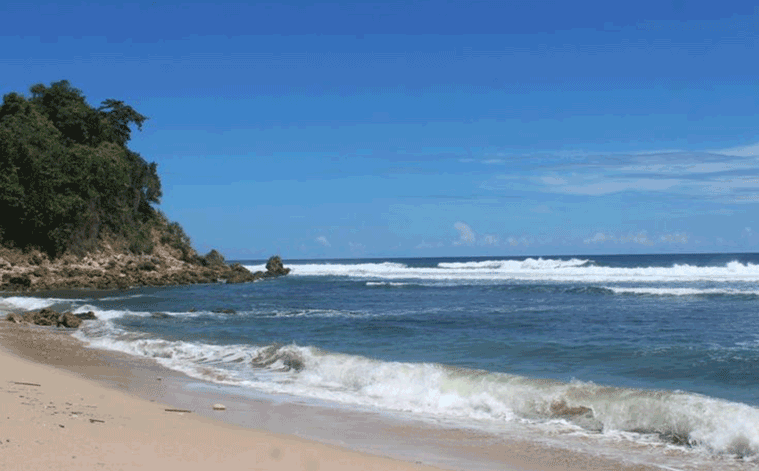 Pantai Pacar Tulungagung