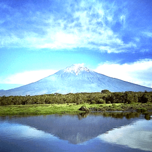 Rawa Bento: Rawa Tertinggi dan Terindah di Sumatera