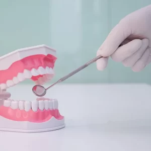 Kupas Tuntas Anatomi Gigi, Jenis Gigi, dan Fungsinya