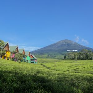 Gunung Dempo Pagar Alam: Keindahan Alam di Ketinggian