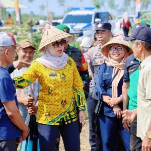 Bupati Barru Tinjau Program Budidaya Padi Varietas Soeharto, Target 100 Hektar di Desa Lipukasi