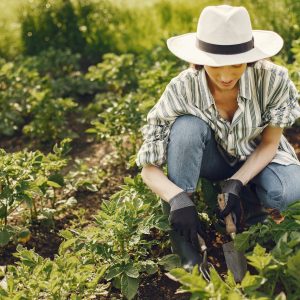 Mulai dari Sekarang! 8 Alasan Kenapa Berkebun Bisa Menyelamatkan Kesehatan Anda