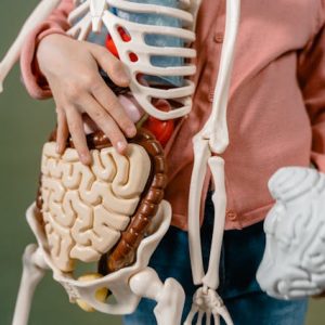 7 Fakta Menarik Tentang Sistem Pencernaan yang Belum Banyak Diketahui!