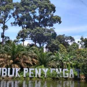 Lubuk Penyengat: Surga Tersembunyi di Muaro Jambi