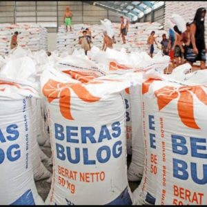 Legislator Ingatkan Bapanas soal Anggaran Rp. 22,5 T Jangan Hanya untuk Program Beras Gratis