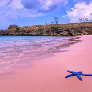 Pantai Pink Lombok: Pantai Unik dengan Warna Pasir Menakjubkan