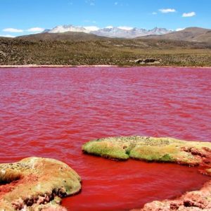 Danau Merah: Pesona Mistis di Perbatasan Pagar Alam & Kaur