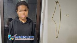 Baru Kerja, ART di Maros Ditangkap usai Curi Emas dan Uang Majikan