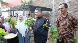 Wali Kota Makassar Apresiasi Urban Farming Tammua Tallo: Lahan Sempit Kunci Ketahanan Pangan dan Ekonomi