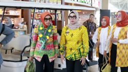 Bupati Andi Ina Sambut Hangat Sri Suparni Bahlil, Kalungkan Wastra Khas Barru