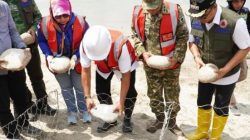 Atasi Banjir Tahunan, Pembangunan Tanggul Sungai Rongkong di Luwu Utara Resmi Dimulai