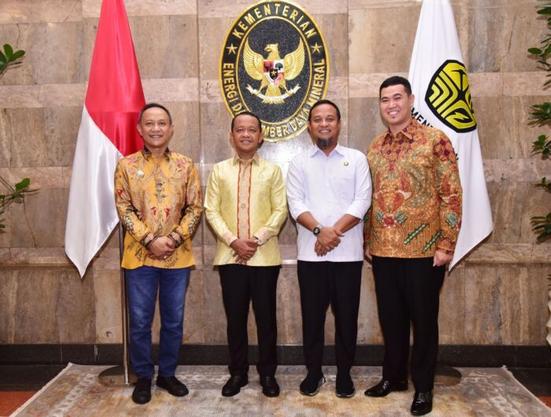 Gubernur Sulsel Temui Menteri ESDM Perjuangkan Listrik Desa dan Pasokan BBM di Wilayah Kepulauan