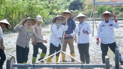 Gerakan Tanam Serempak Nasional Dicanangkan di Barru, Bupati Andi Ina Pastikan Program Dikawal hingga Produksi