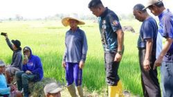 Bupati Bantaeng pimpin normalisasi irigasi cegah ancaman kekeringan di Pa’jukukang
