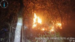 Gubernur Sulsel Serukan Kewaspadaan, Ancaman Karhutla Meningkat di Tengah Musim Kemarau
