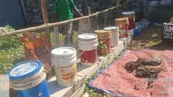 Konsistensi Kolaborasi Warga Jadikan RT 04 Tamangapa Percontohan Pemilahan Sampah Sejak 2025
