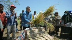 Perkuat Ketahanan Pangan, Munafri Salurkan Ribuan Liter Pupuk dan Benih untuk Petani Makassar