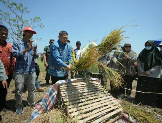 Perkuat Ketahanan Pangan, Munafri Salurkan Ribuan Liter Pupuk dan Benih untuk Petani Makassar