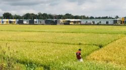 Sulsel Siagakan Pompa dan Sumur Bor, Perkuat Pertahanan Pangan Hadapi Kekeringan Ekstrem