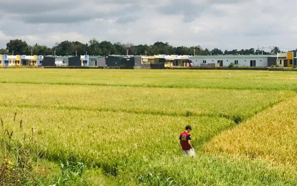 Sulsel Siagakan Pompa dan Sumur Bor, Perkuat Pertahanan Pangan Hadapi Kekeringan Ekstrem