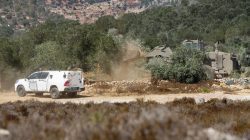 Pukulan Telak Jelang Panen: Ratusan Pohon Zaitun Petani Palestina Diratakan Israel